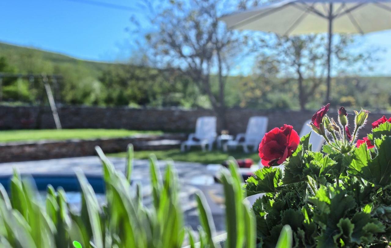 Dalmatia Stone House - Heated Pool Guest House Biorine Eksteriør bilde
